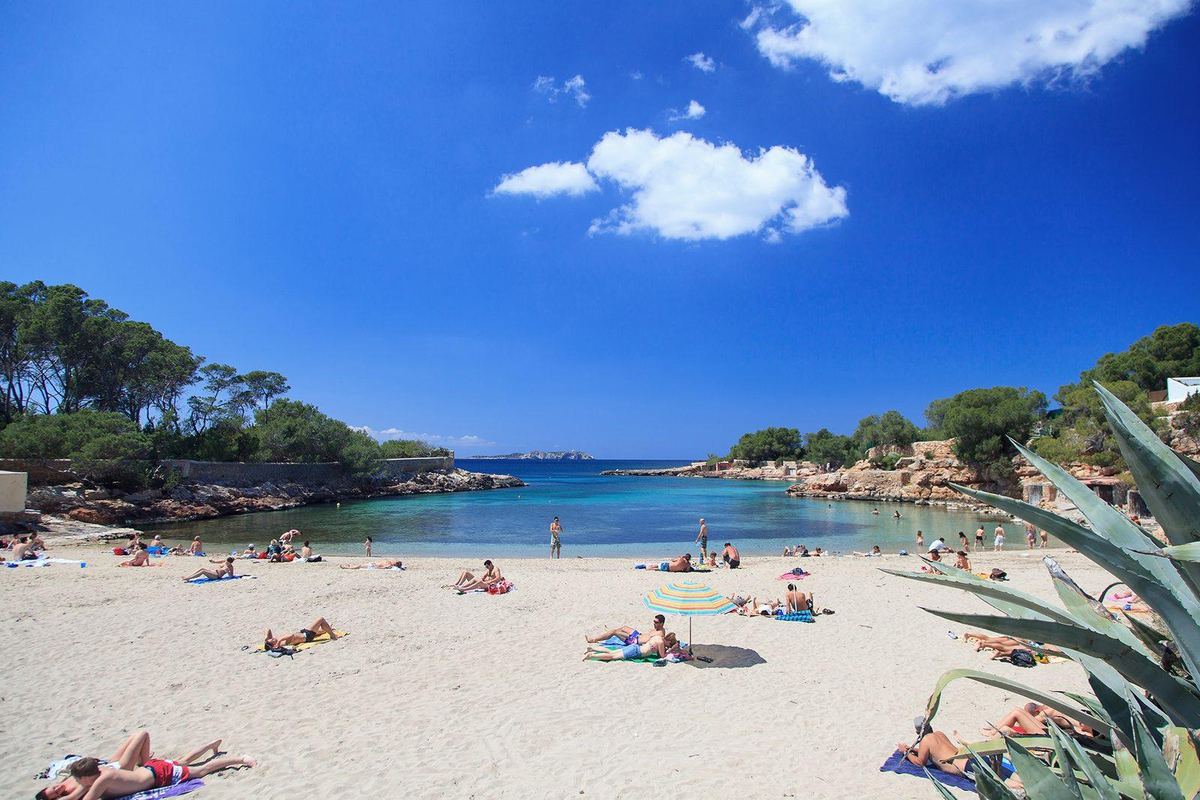 The sandy cove of Cala Gració framed by pines