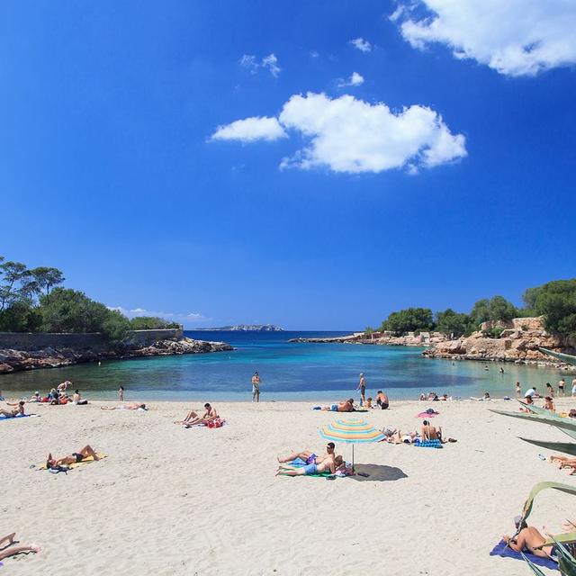 The sandy cove of Cala Gració framed by pines